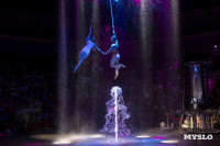 Шоу воды, огня и света, Фото: 185