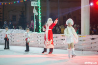 Туляки отметили Старый Новый год ледовым шоу, Фото: 7