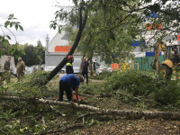 Городской субботник прошел в Туле, Фото: 15