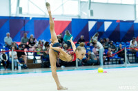 Тула провела крупный турнир по художественной гимнастике, Фото: 182