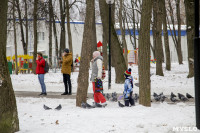 Рогожинский парк, зима 2019, Фото: 5
