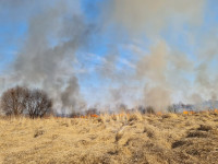 В Федоровке огонь с горящего поля едва не перекинулся на дома, Фото: 26