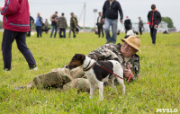 ХII Всероссийская выставка охотничьих собак, Фото: 22