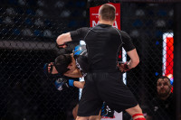 В «Тула-Арене» состоялись областные соревнования по ММА, Фото: 85