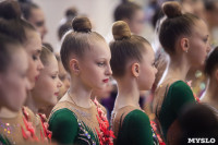 Соревнования по художественной гимнастике на призы благотворительного фонда «Земляки», Фото: 219