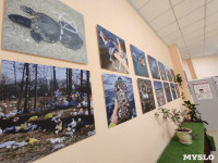 В Тульском Экзотариуме открылась выставка «Пластмассовый мир», Фото: 4