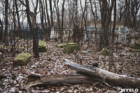 Кладбища Алексина зарастают мусором и деревьями, Фото: 16