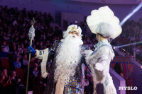 Цирковое шоу Жар птица, Фото: 155