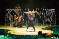Цирк на воде «Остров сокровищ» в Туле: Здесь невозможное становится возможным, Фото: 33