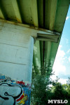 Рейд Myslo: в каком состоянии Тульские мосты, Фото: 114