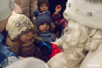 В Туле открылась резиденция Деда Мороза, Фото: 33