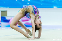 Тула провела крупный турнир по художественной гимнастике, Фото: 178