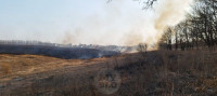 Рядом с микрорайоном полыхает поле: огонь растянулся примерно на километр, Фото: 2