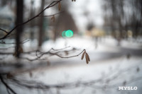 Декабрь – не повод закрывать грибной сезон: репортаж от тульского фотографа, Фото: 11