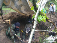 В Тульской области в лесу поисковики нашли захоронение артиллеристов и лошадей, Фото: 2