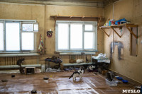 Волонтеры спасли кошек из адской квартиры, Фото: 91