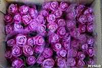 Миллион разных роз: как устроена цветочная теплица, Фото: 59