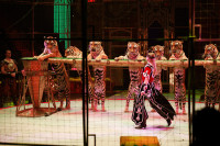 Новое грандиозное шоу Гии Эрадзе «Королевский цирк» стартует в Тульском цирке, Фото: 89