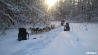 Зимний поход с собаками, Фото: 30