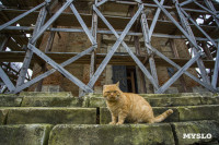 Храм Спаса Нерукотворного Образа, Фото: 31