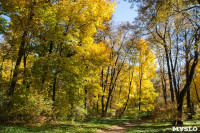 Золотая осень в Ясной Поляне, Фото: 5