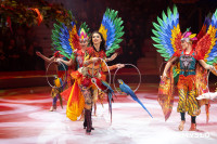 Цирковое шоу Жар птица, Фото: 63
