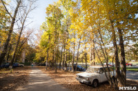 Золотая осень в Тульской области, Фото: 76