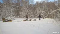 Зимний поход с собаками, Фото: 3