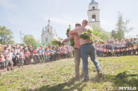 В Тульской области прошел фестиваль крапивы, Фото: 244