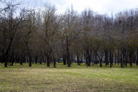 Закрытый Пролетарский парк, Фото: 45