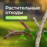 Складирование растительных отходов на контейнерных площадках, Фото: 1