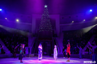 Премьера новогоднего шоу в Тульском цирке, Фото: 69