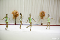 Соревнования по художественной гимнастике "Осенний вальс", Фото: 105