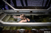 В Центральном парке Тулы прошли крещенские купания, Фото: 34