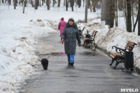 В Комсомольском парке прошёл рейд по выявлению собачников-нарушителей, Фото: 5
