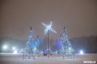 Зимняя сказка в Центральном парке, Фото: 10