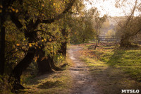 Золотая осень по-тульски, Фото: 106