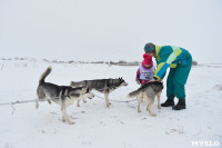 Праздник северных собак на Куликовом поле , Фото: 21