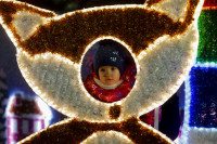 Открытие новогодней ёлки на площади Ленина, Фото: 86