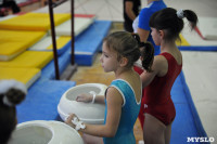 В Туле проверили ближайший резерв российской гимнастики, Фото: 13