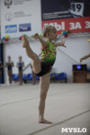 Соревнования по спортивной гимнастике на призы Заслуженных мастеров спорта , Фото: 21
