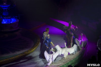 Премьера шоу Королевский цирк, Фото: 47