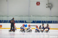 Следж-хоккеисты стали чемпионами в Канаде, Фото: 31
