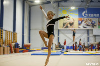 Спортивная гимнастика в Туле 3.12, Фото: 81