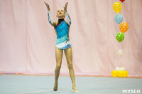 Соревнования по художественной гимнастике "Тульский сувенир", Фото: 44