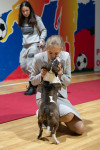 В Туле прошла выставка собак всех пород, Фото: 81