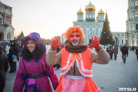 В Тульском кремле открылась новогодняя елка, Фото: 46