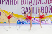 Художественная гимнастика, Фото: 35