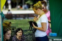 В Центральном парке Тулы проходит фестиваль помощи животным, Фото: 25
