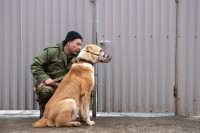 Как живет собачий патруль Туламашзавода, Фото: 32